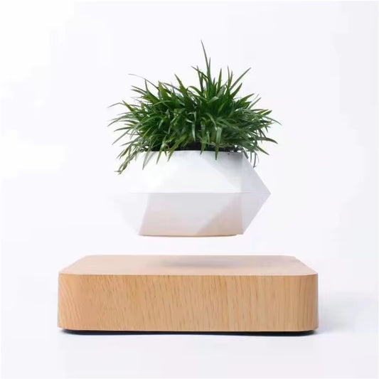 Experience the Magic of Air: Innovative Levitating Floating Bonsai Tree Pot for Indoor Décor